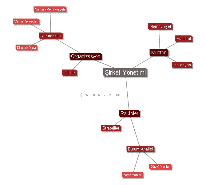 Konunun Zihin Haritası b118i001.png